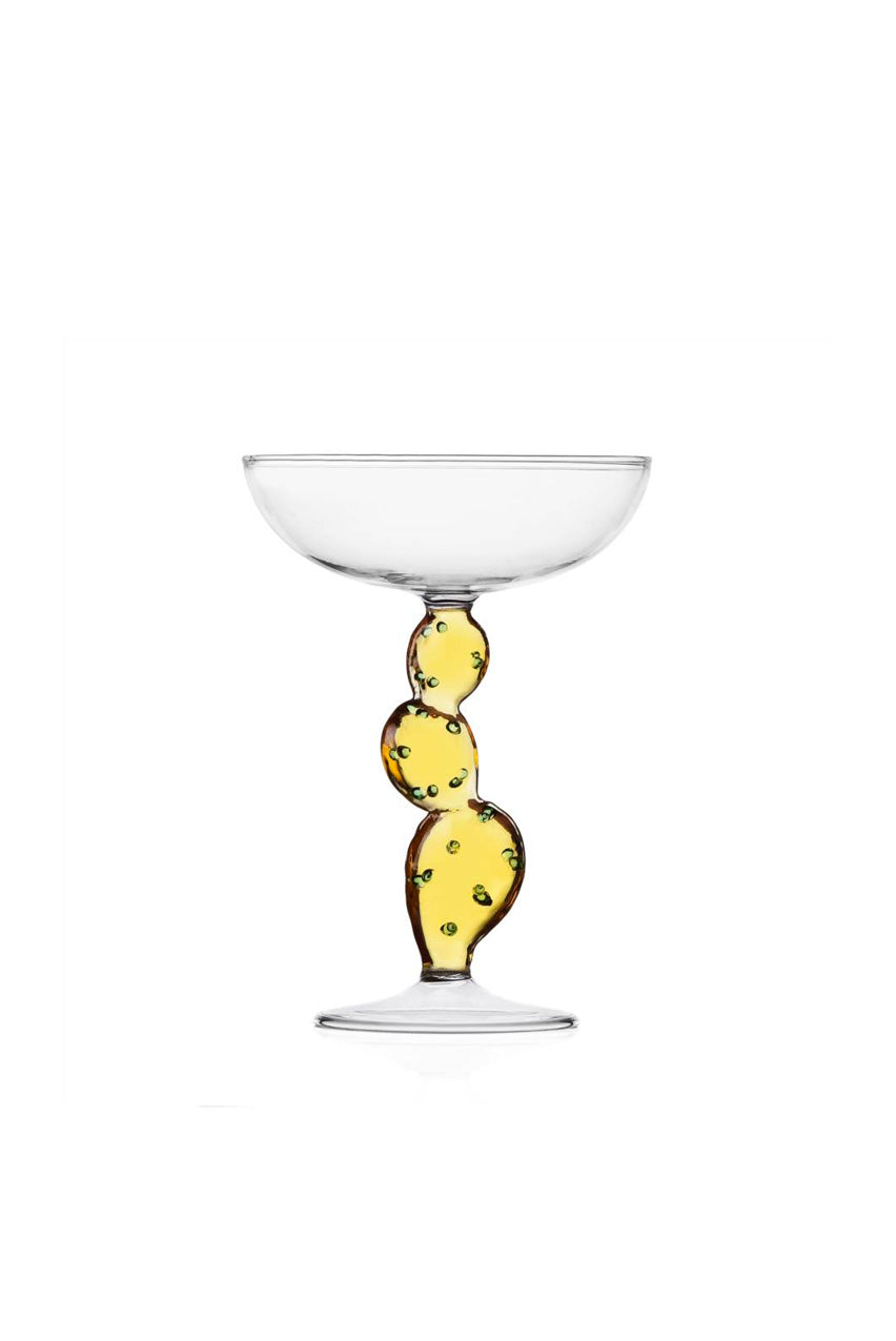 CHAMPAGNE BOWL DESERTPLANTS