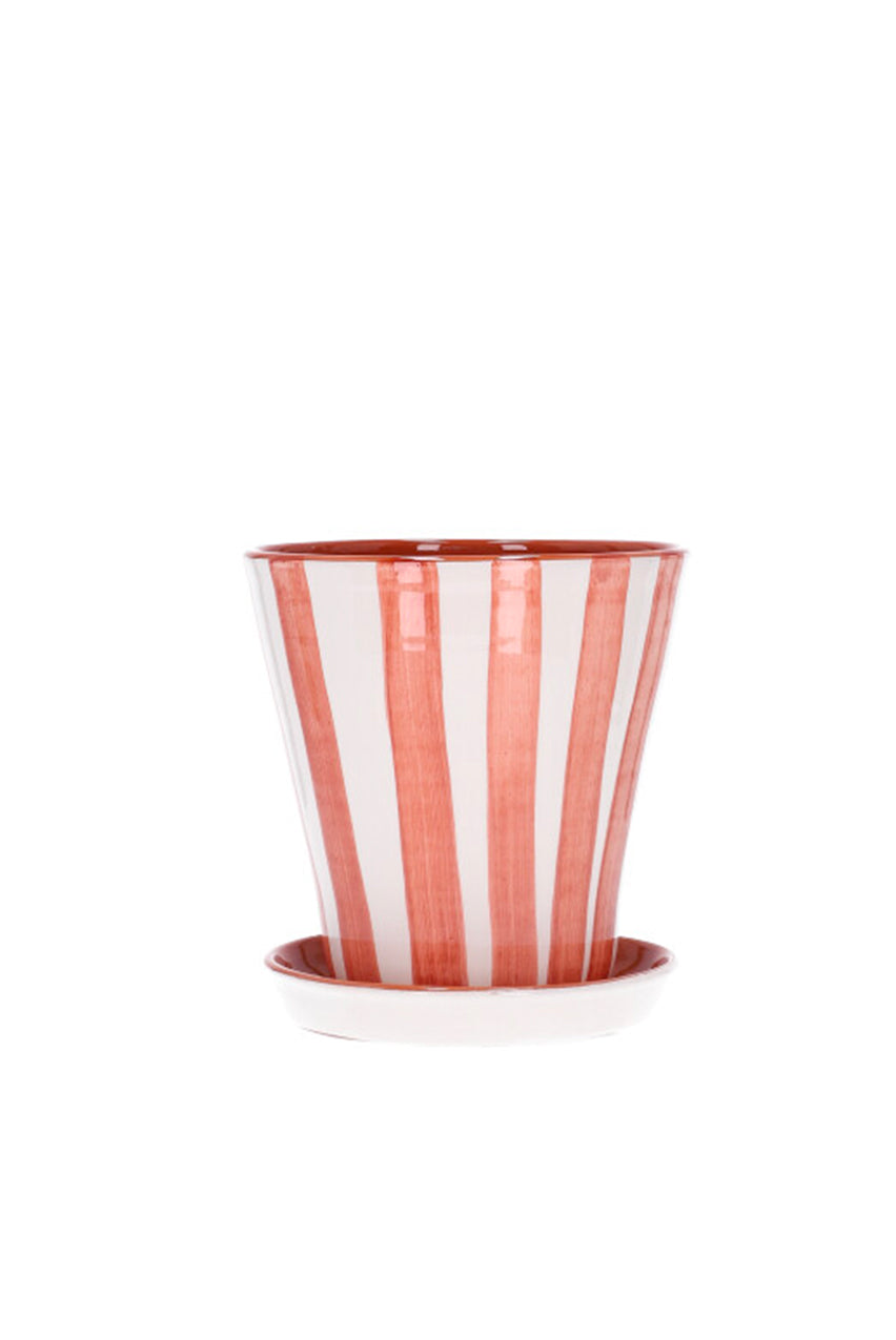 cup and saucer planter large LARGE PLANTER WITH SAUCER