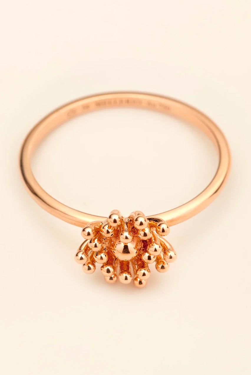 VANILLA ROSE GOLD MM RING