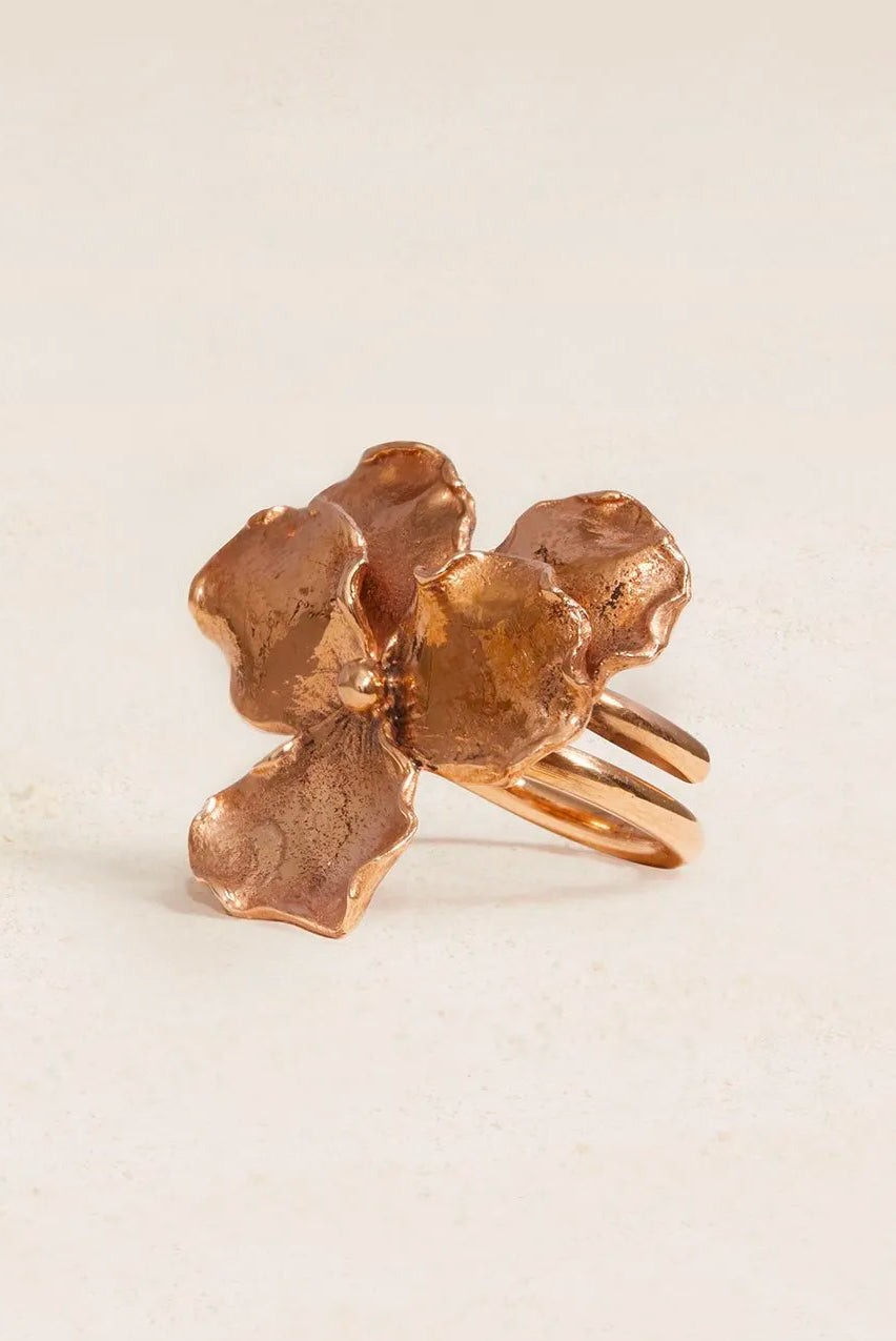Bronze Panzè Ring