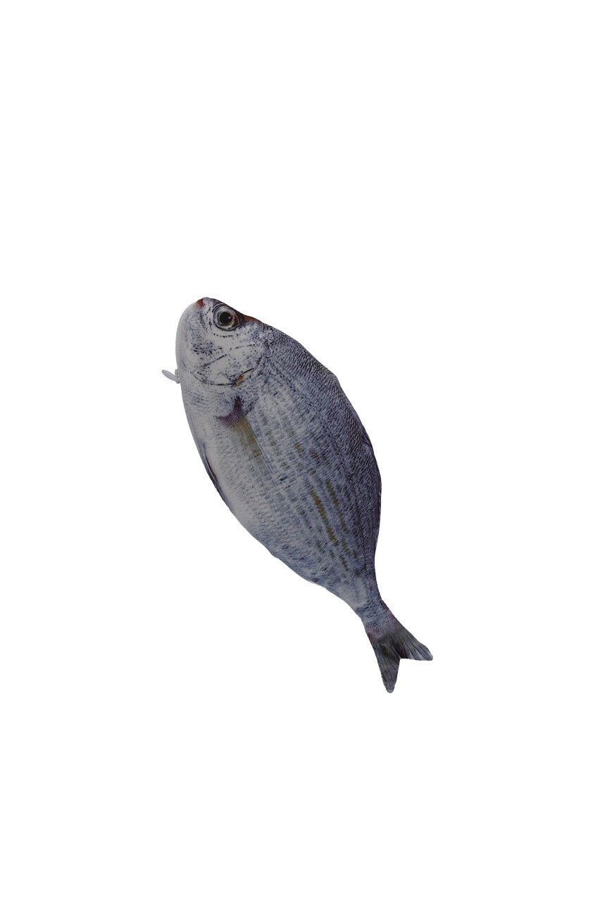 FISH KIT
